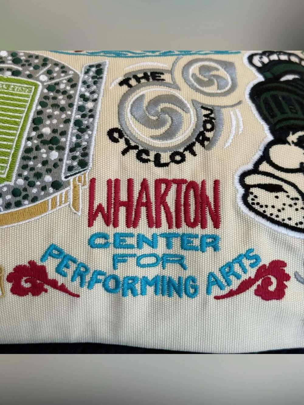 Catstudio Michigan State University Spartans MSU Embroidered College Pillow NWT